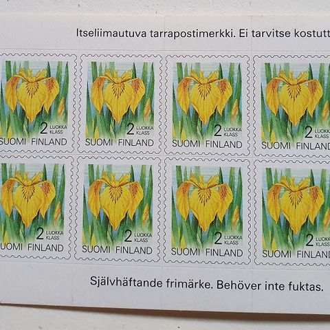 Ilmoituksen kuva