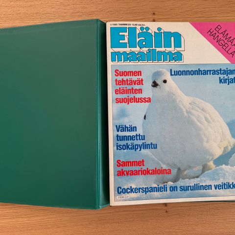 Ilmoituksen kuva