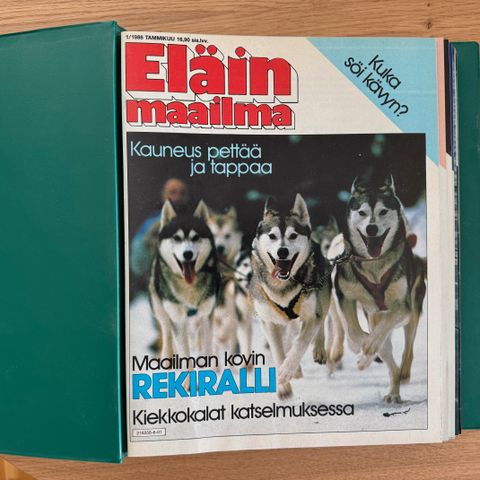 Ilmoituksen kuva