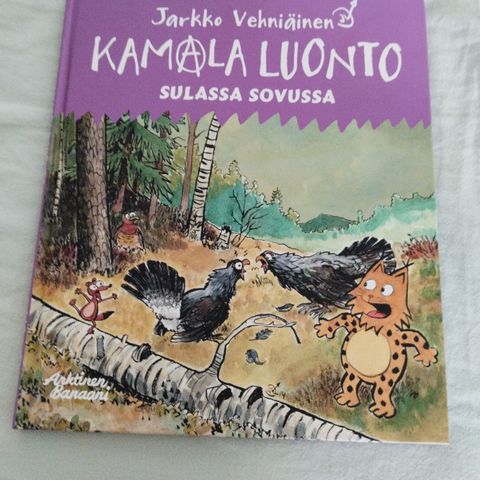Ilmoituksen kuva