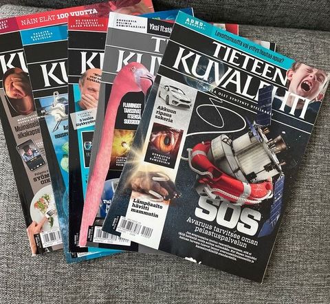 Ilmoituksen kuva