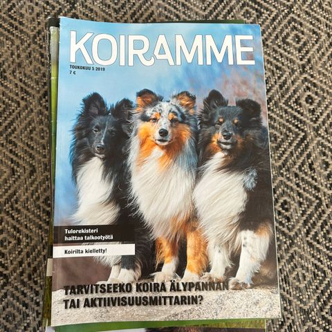 Ilmoituksen kuva