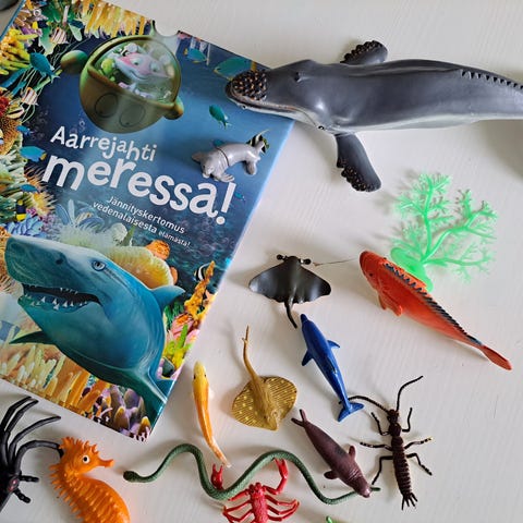 Ilmoituksen kuva
