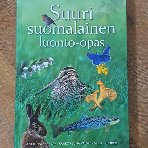 Ilmoituksen kuva