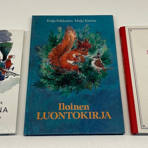 Ilmoituksen kuva