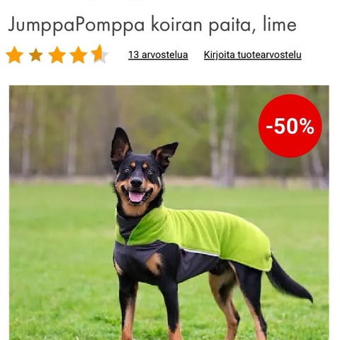 Ilmoituksen kuva