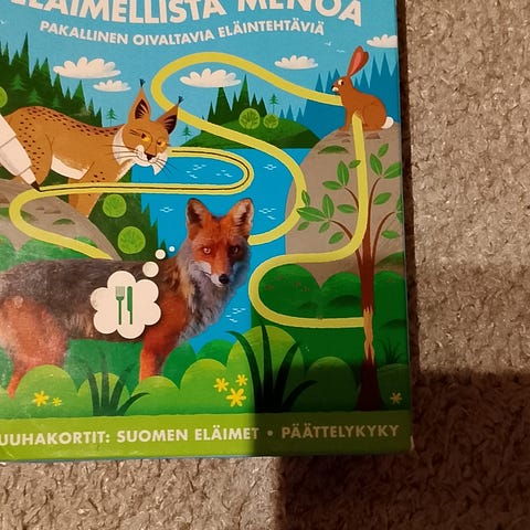 Ilmoituksen kuva