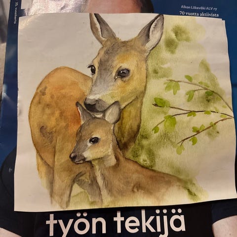 Ilmoituksen kuva