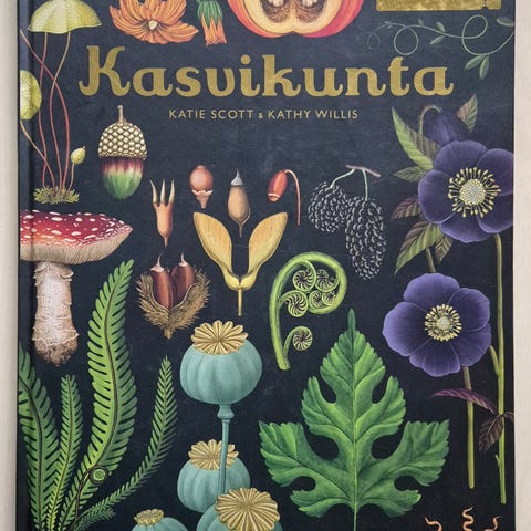 Ilmoituksen kuva