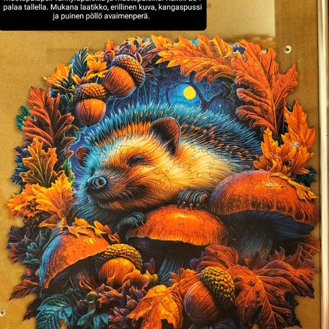 Ilmoituksen kuva