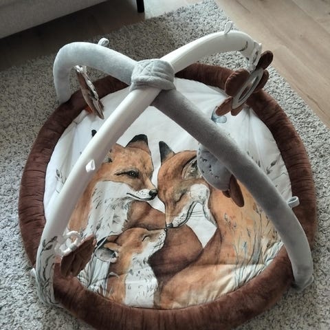 Beemoo play bunny baby gym Tori