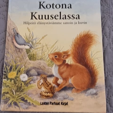Ilmoituksen kuva