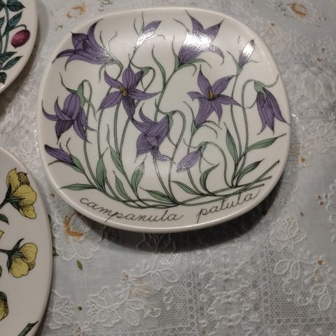 Seinälautaset Esteri Tomula, Botanica- sarjaa, Arabia | Tori