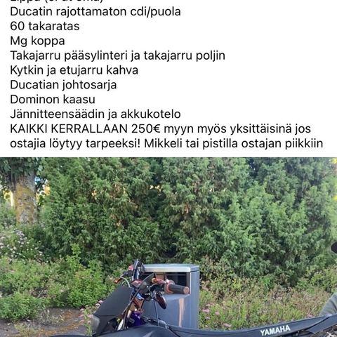 Ilmoituksen kuva