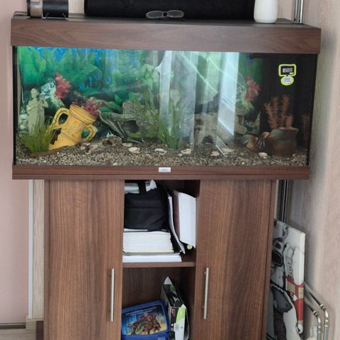 Fluval Vicenza 260 litran akvaario | Tori