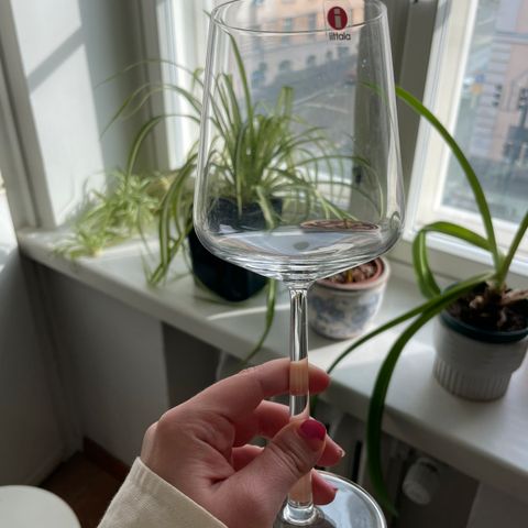 Iittala Essence punaviinilasit | Tori