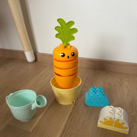duplo-porkkana-tori