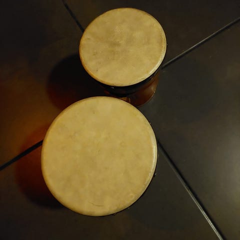 Bongo-rumpu | Tori