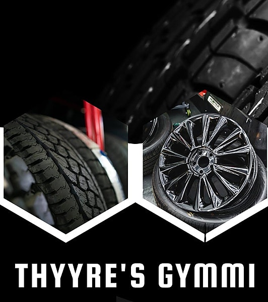THYYRE'S GYMMI