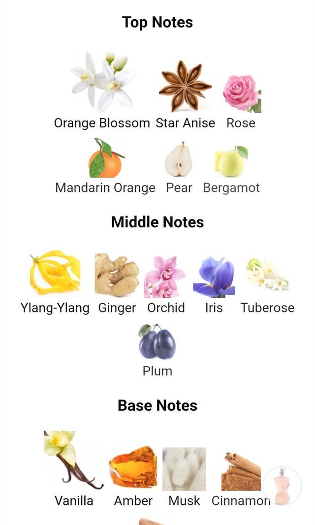 Jean Paul Gaultier Classic 50 ml Tori