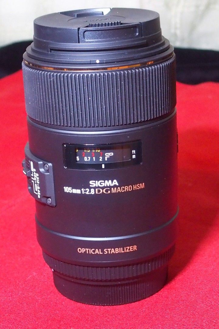 Sigma 105mm F2.8 EX DG Macro OS HSM KUVANVAKAIMELLA! Canoniin