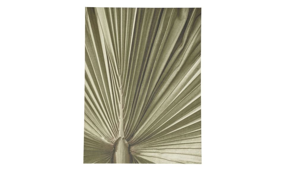 BoConcept Palm Leaf-taulu (559)