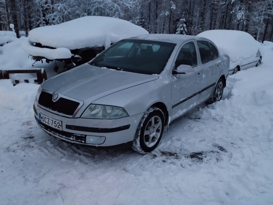 Skoda Octavia osina