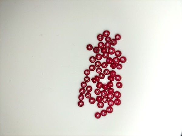 Puolukan punainen siemenhelmi noin 500-650 kpl