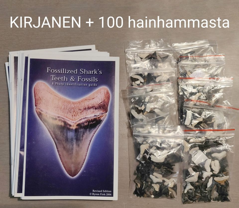 100 hainhammasfossiileja + tunnistusopaskirjanen