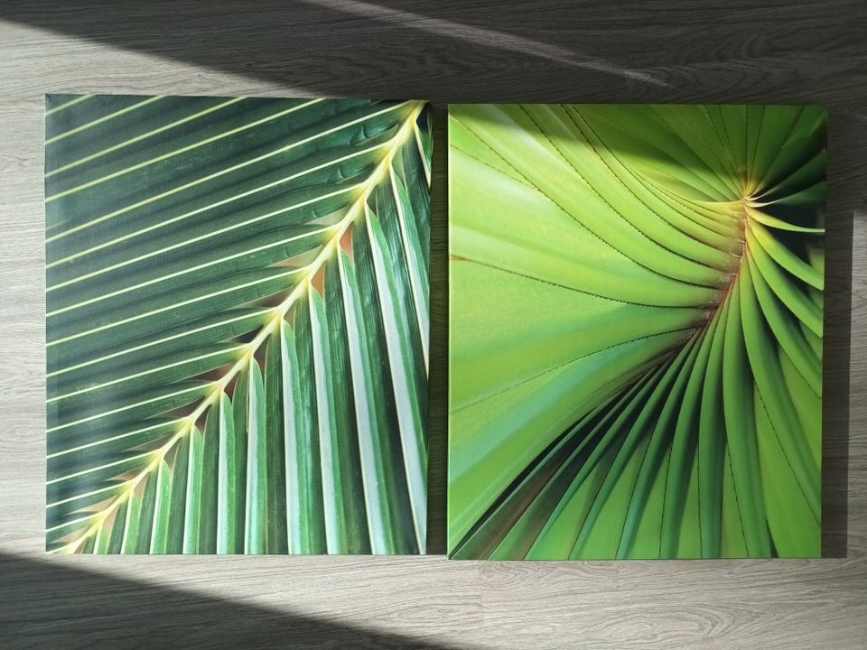 Kaksi palmunlehväaiheista taulua 60x51