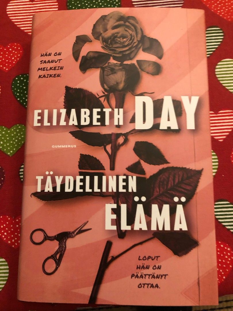 Elizabeth Day Täydellinen elämä