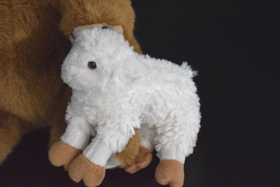 Pehmolelu lammas, 18 cm