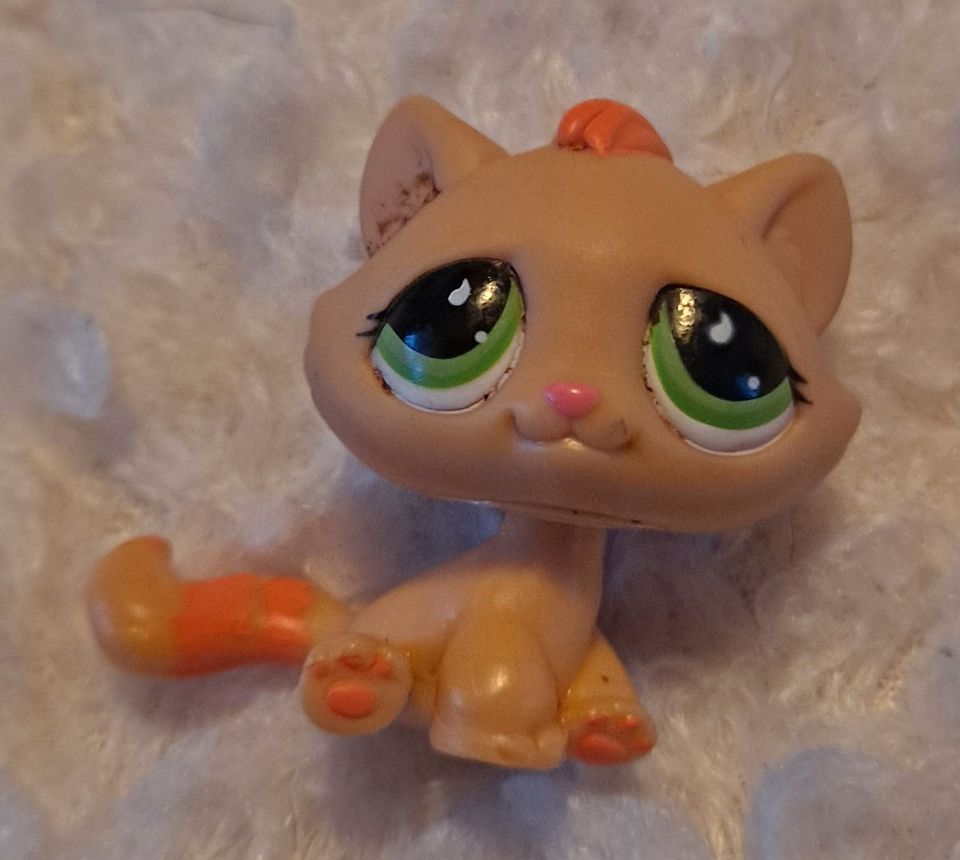 Littlest pet shop kissanpentu