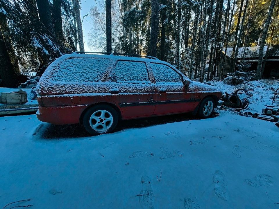 Ford Escort 1,6l zetec 16v osina