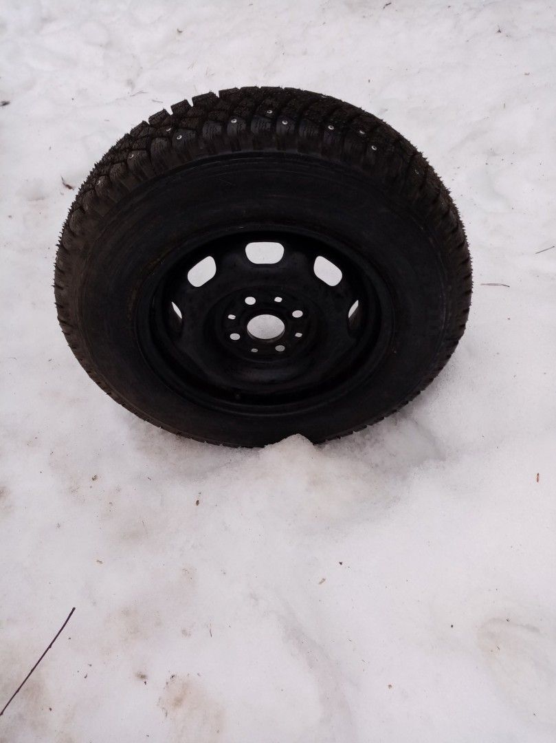 Toyota 13" Nastarenkaat