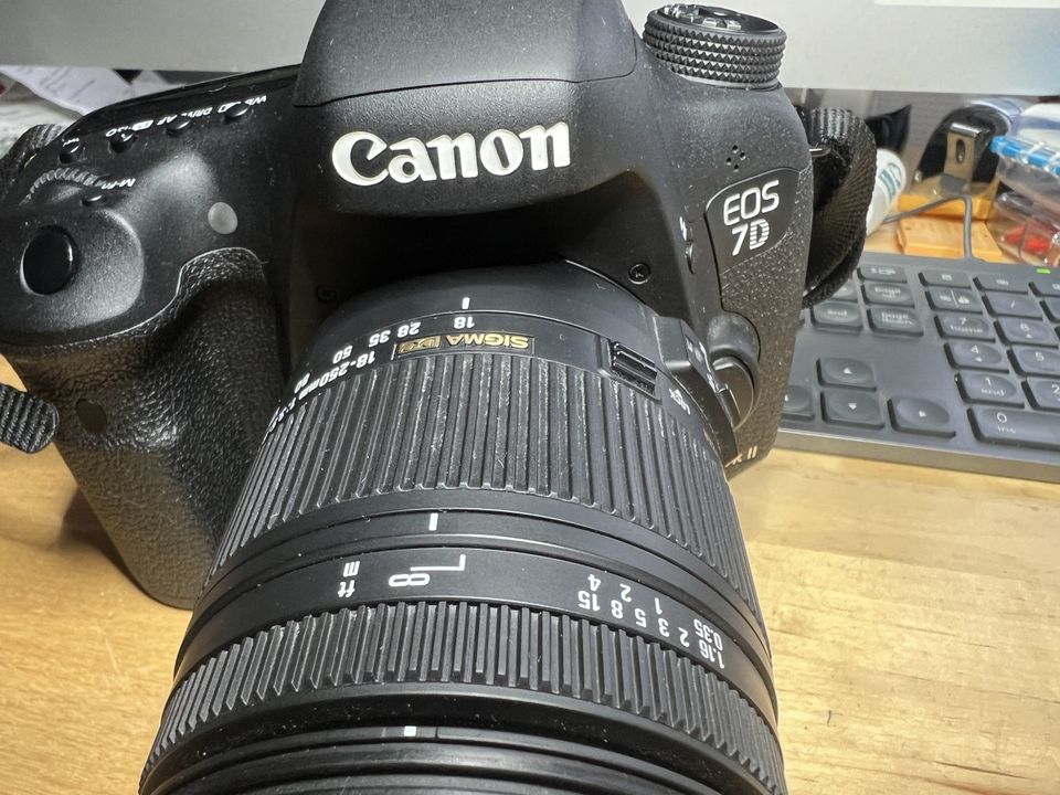 Canon 7D Mark II + Sigma Zoom 18   250 mm