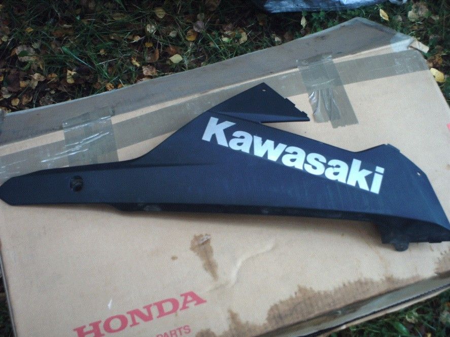 Kawasaki NINJA 300