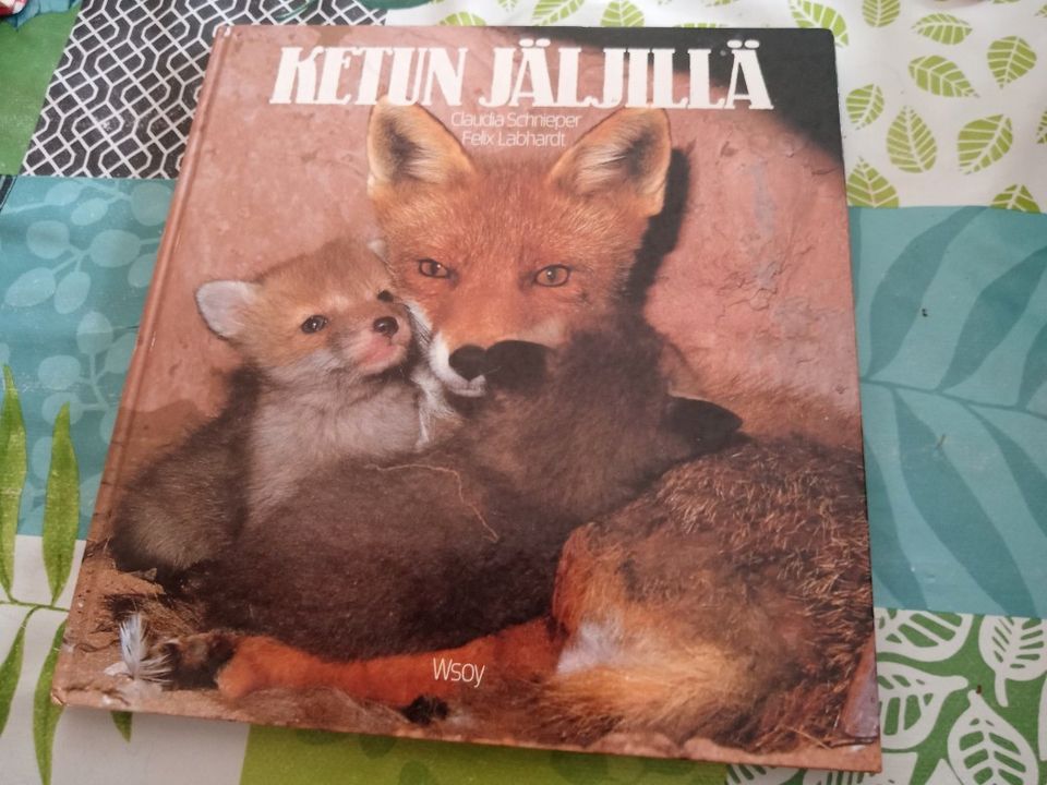 Ketun jäljillä