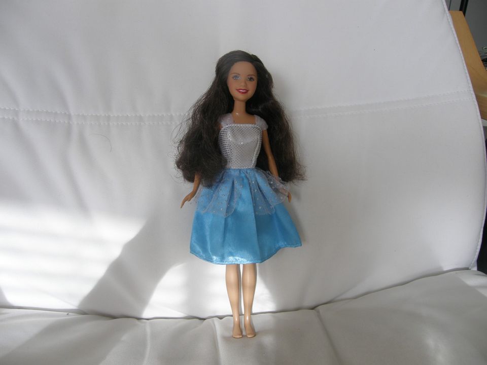 Tummatukkainen Skipper- nukke GABRIELLA/ Barbie