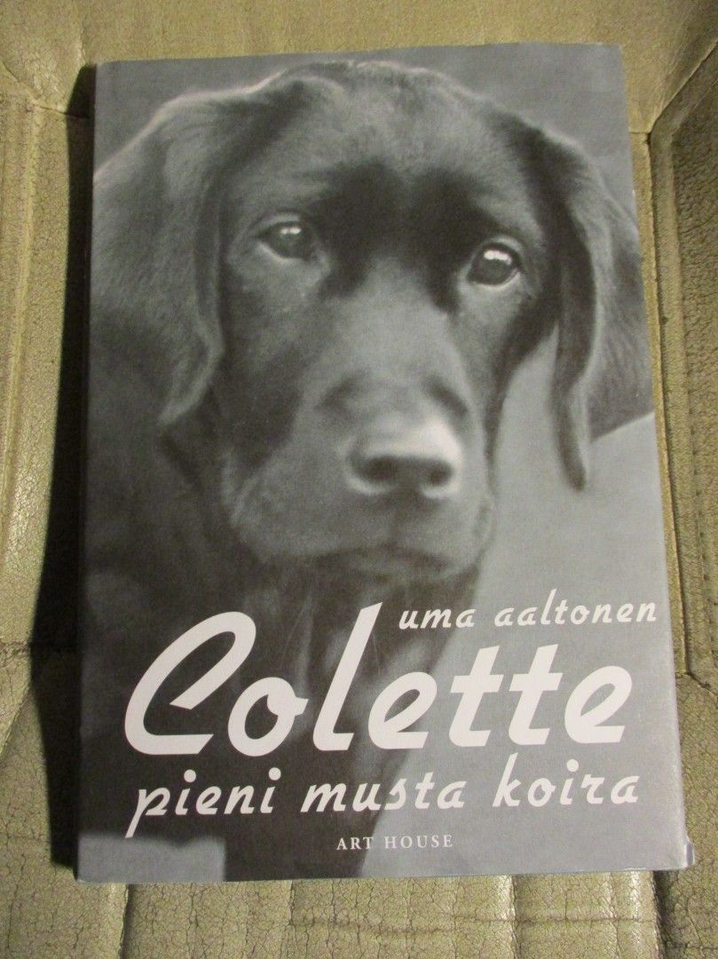 Colette pieni musta koira