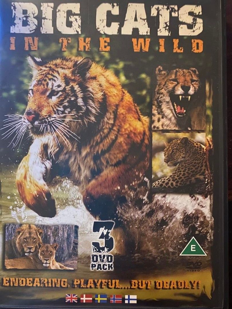 Big Cats in the wild- 3 dvd Uusi