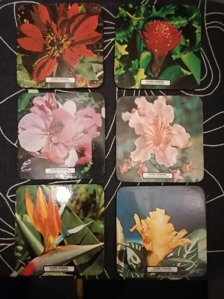 Kukka-aiheiset lasinaluset Flora Canaria 6kpl