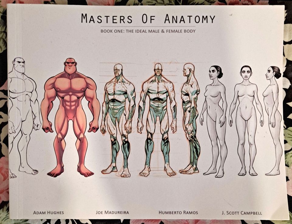 Masters of Anatomy Book One