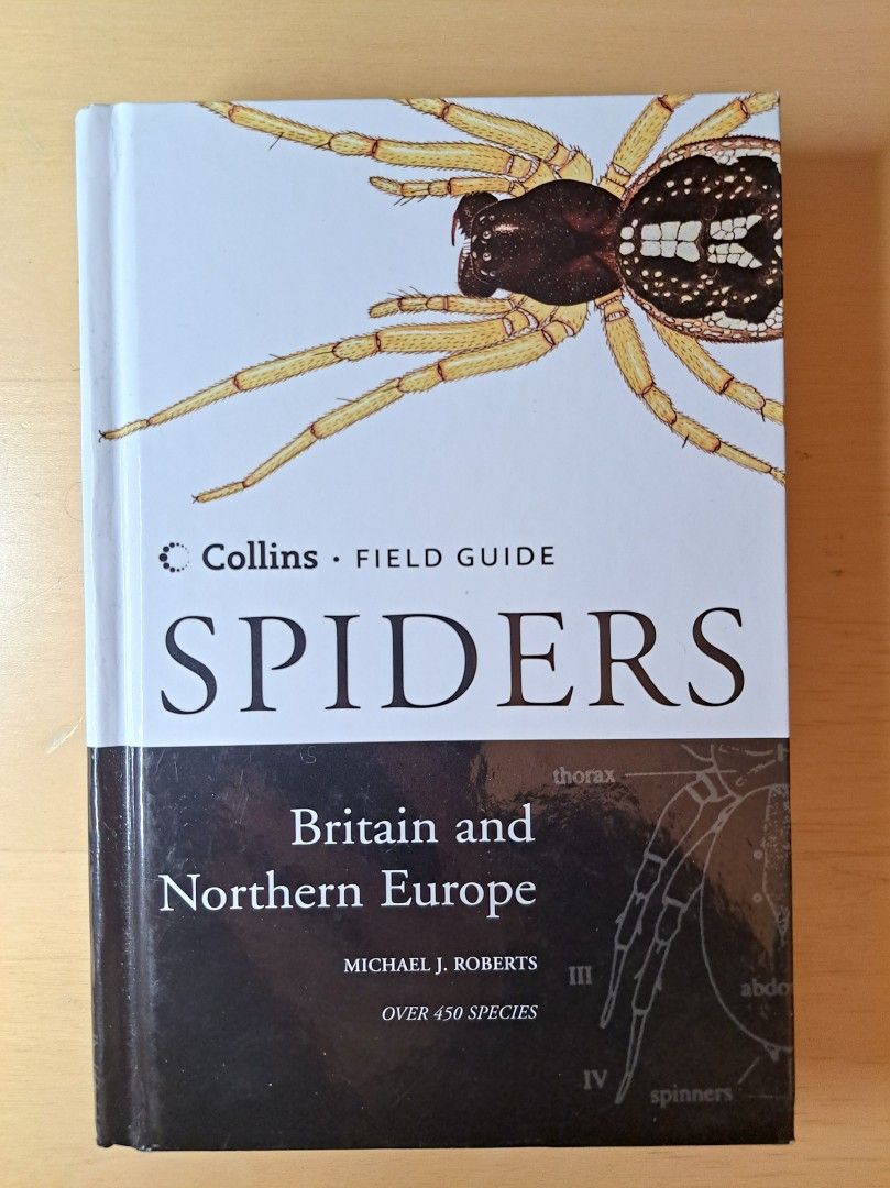 Spiders Britain and northern Europe 1996