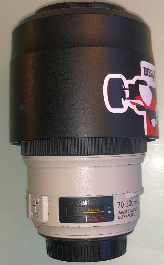 Canon EF 70-300mm f/4-5.6 L IS