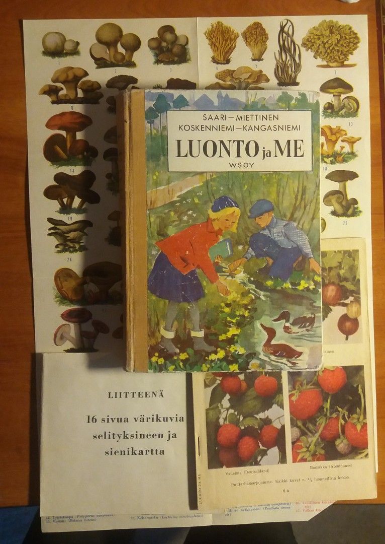 LUONTO ja ME Wsoy 3p 1954