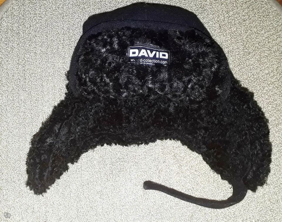 DAVID hattu