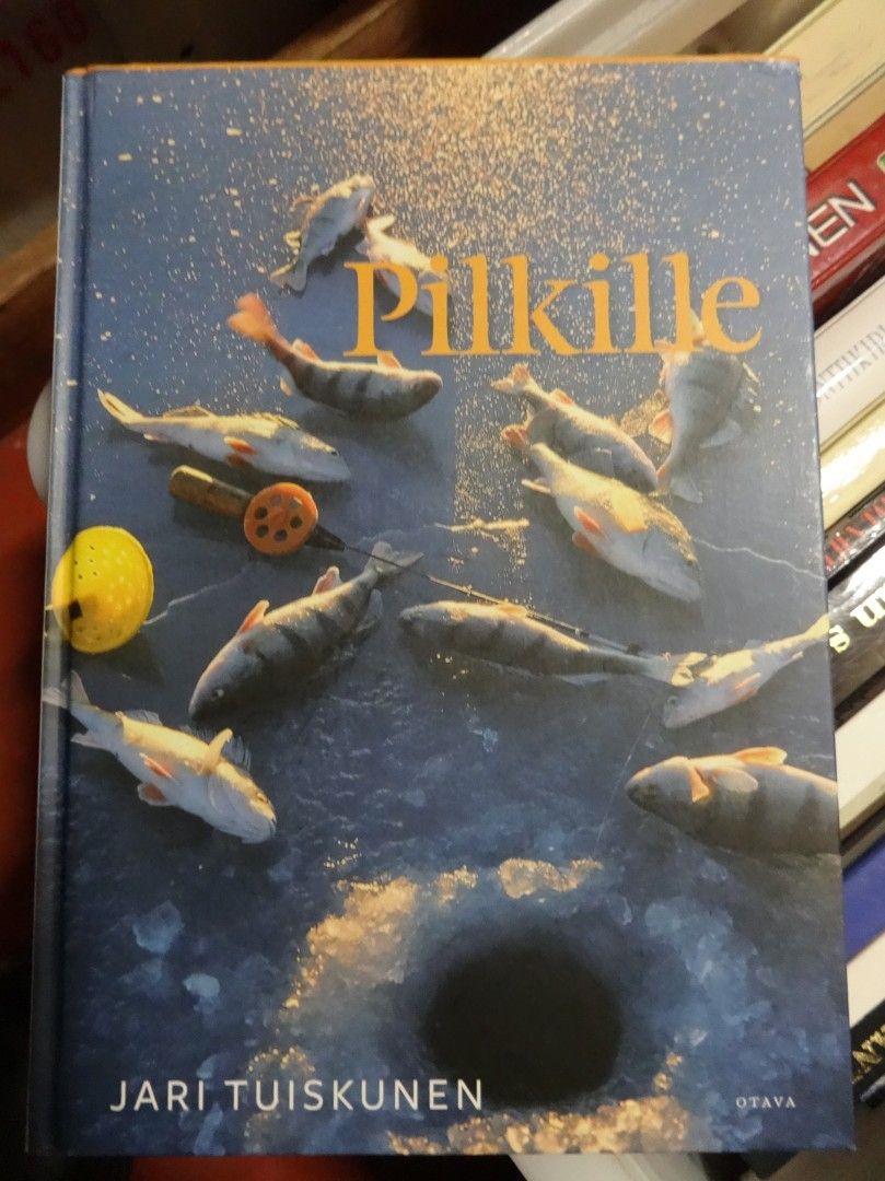 Pilkille - Jari Tuiskunen