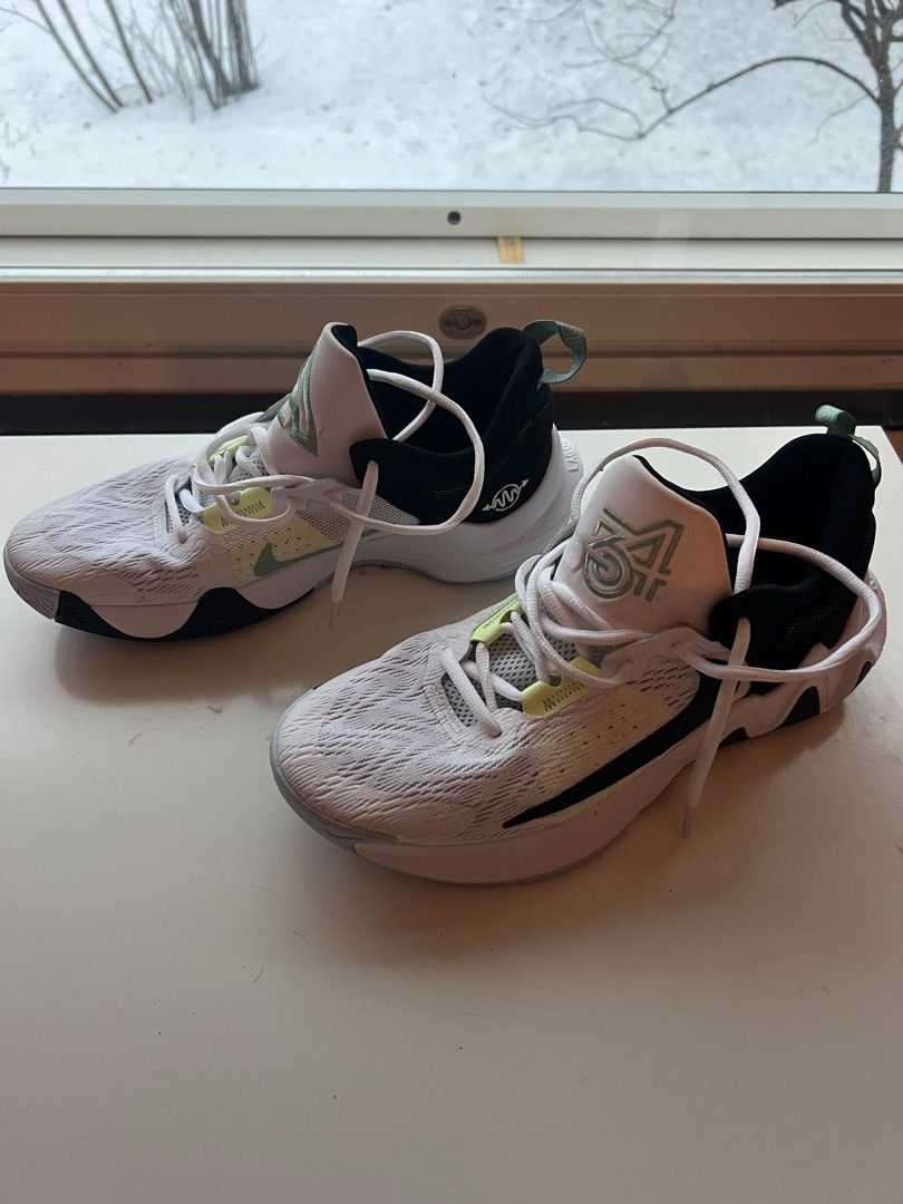 Nike koripallo kengät