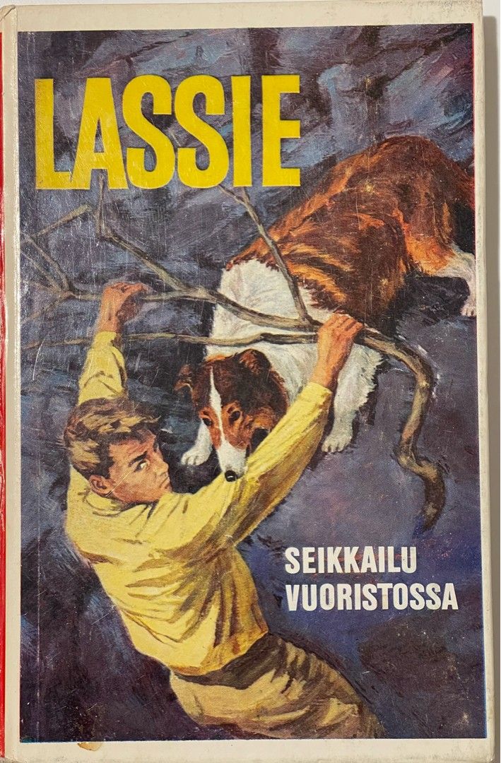 Lassie seikkailu vuoristossa - I. G. Edmonds